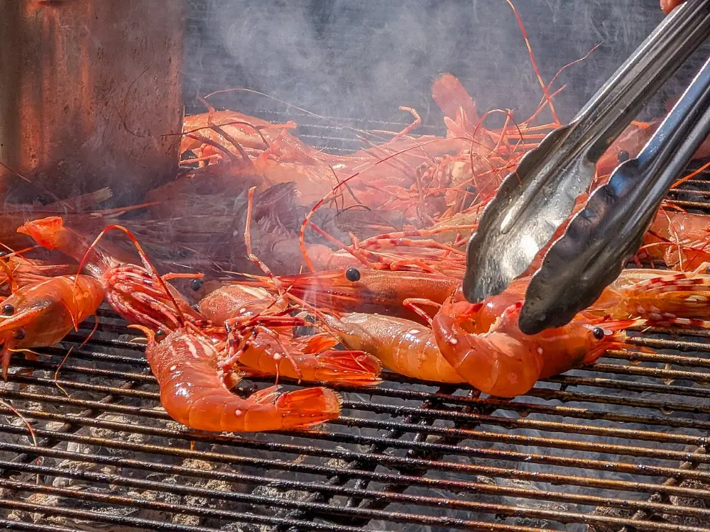 Spot prawns in Pacific Rim National Park Reserve, British Columbia