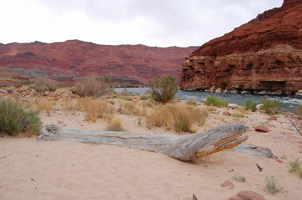Lees Ferry, Page (Horseshoe Bend and Antelope Canyon), Arizona