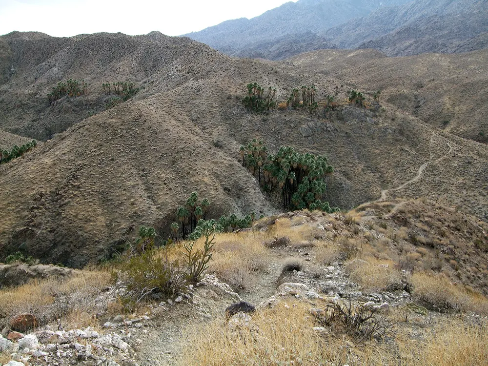 Indian Canyons, Palm Springs, California