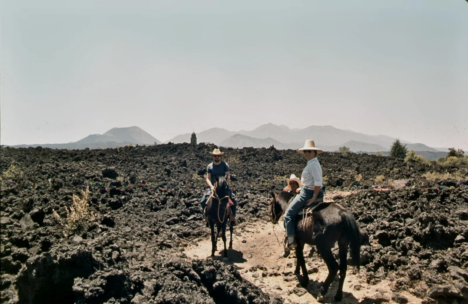 Black lava rock and young pines on the Paricutín lava field, Michoacán