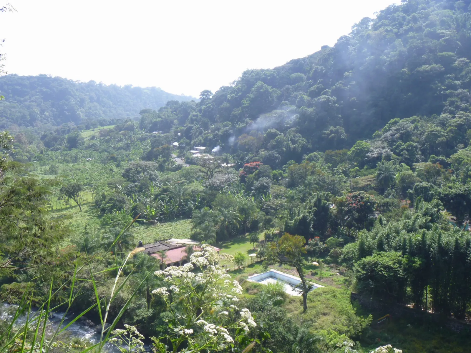 Green ravine of Metlac near Fortín de las Flores, Pico de Orizaba, Veracruz