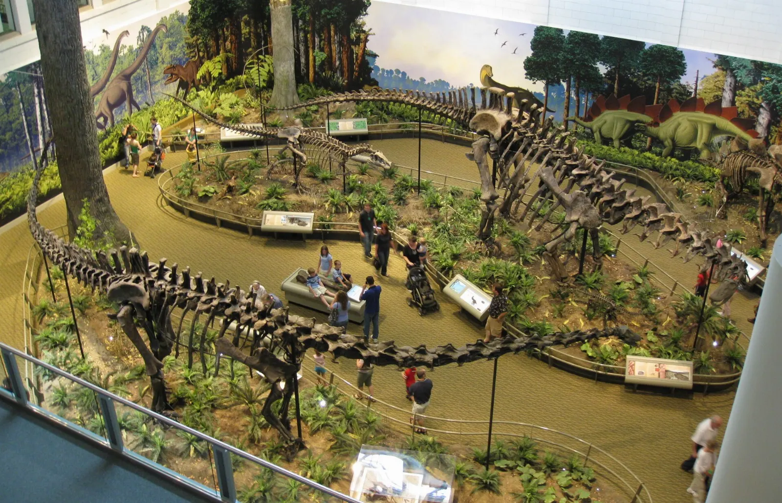Large dinosaur skeletons mounted in a bright museum hall, Pittsburgh, Pennsylvania