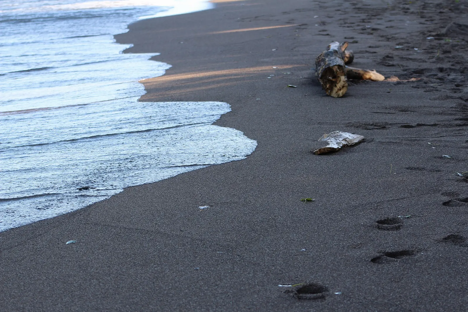 Long sandy beach along Lake Erie in Point Pelee National Park, Ontario