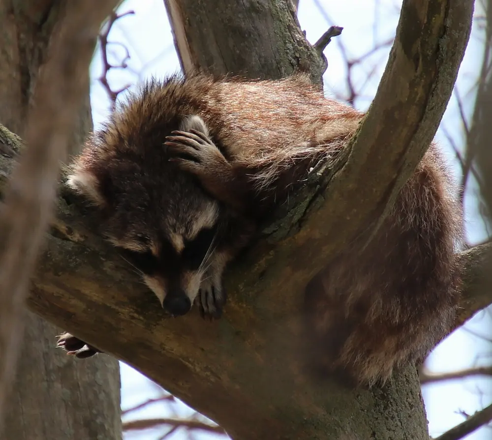 Leamington, Point Pelee National Park, Ontario