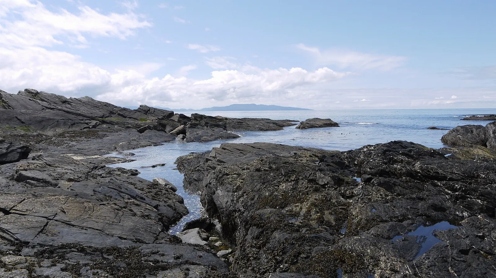 Port Renfrew British Columbia Giant Trees and Tide Pools