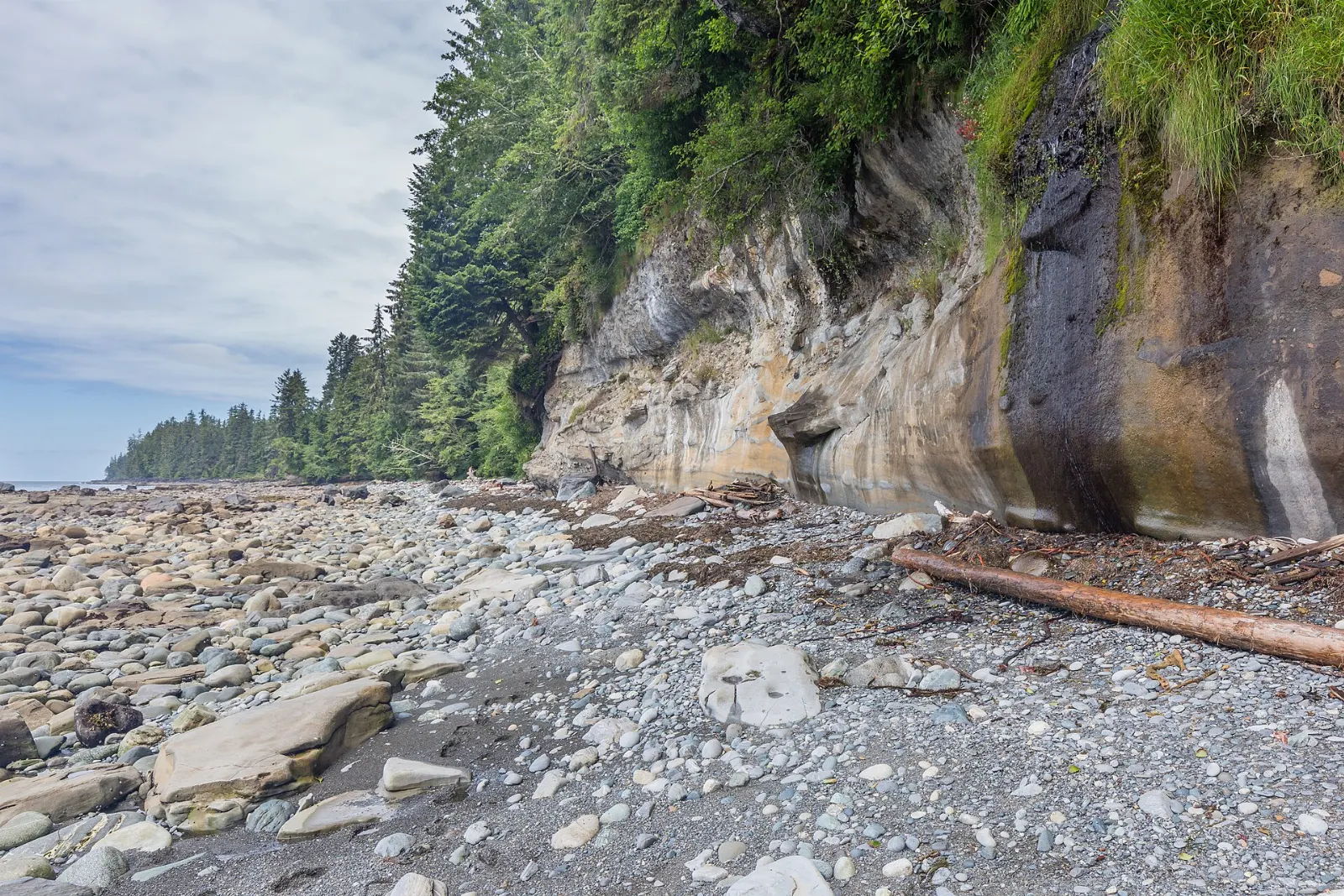 Driftwood and surf on Sombrio Beach, Port Renfrew, British Columbia