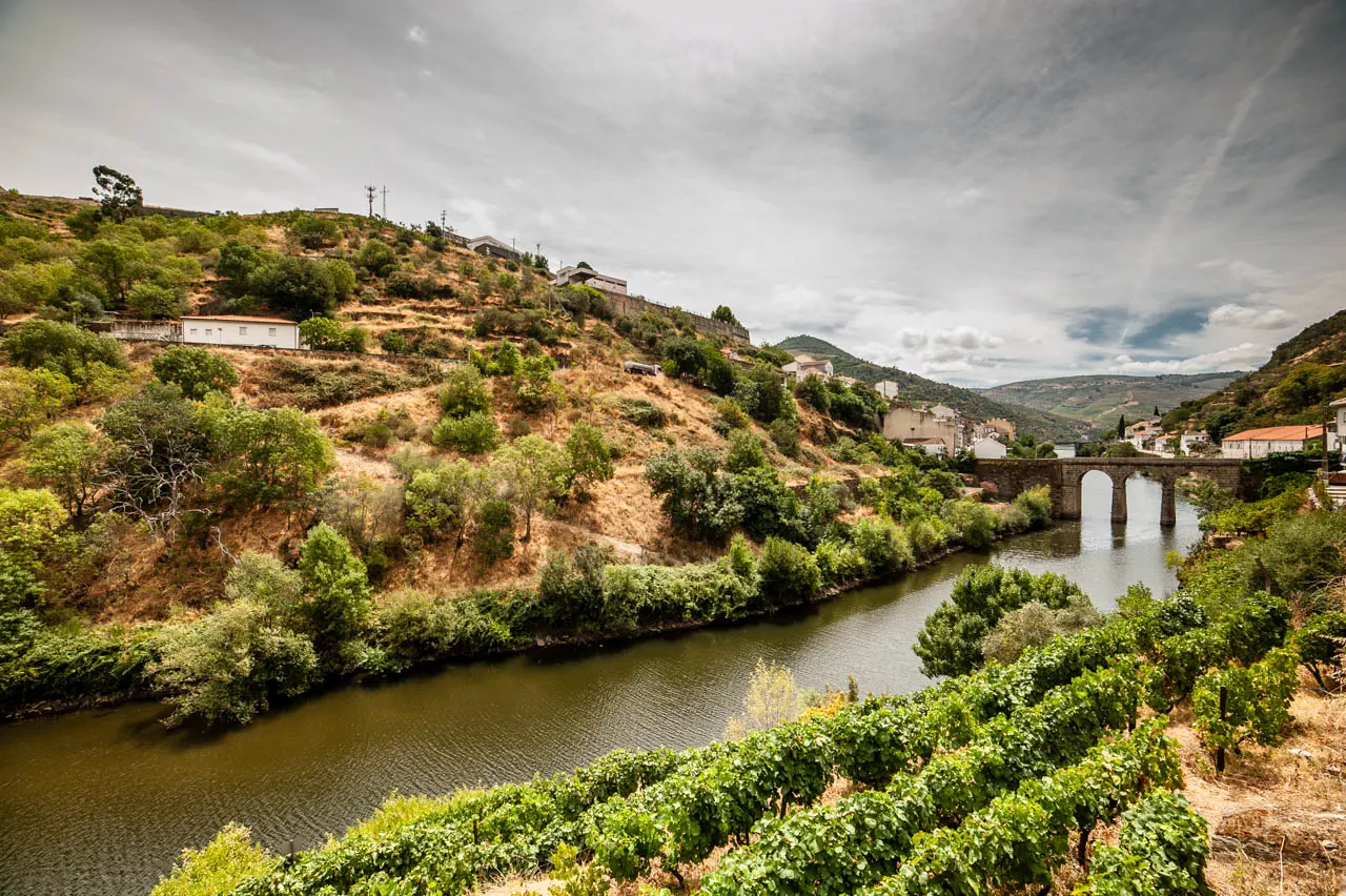 Terraced vineyards climbing steep hills above the Douro River near Pinhão, Porto, Portugal