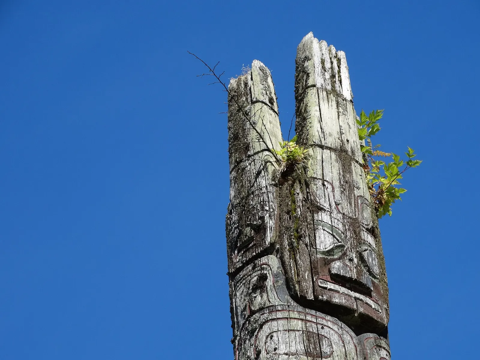 Carved totem poles standing in Totem Park in Prince Rupert, British Columbia