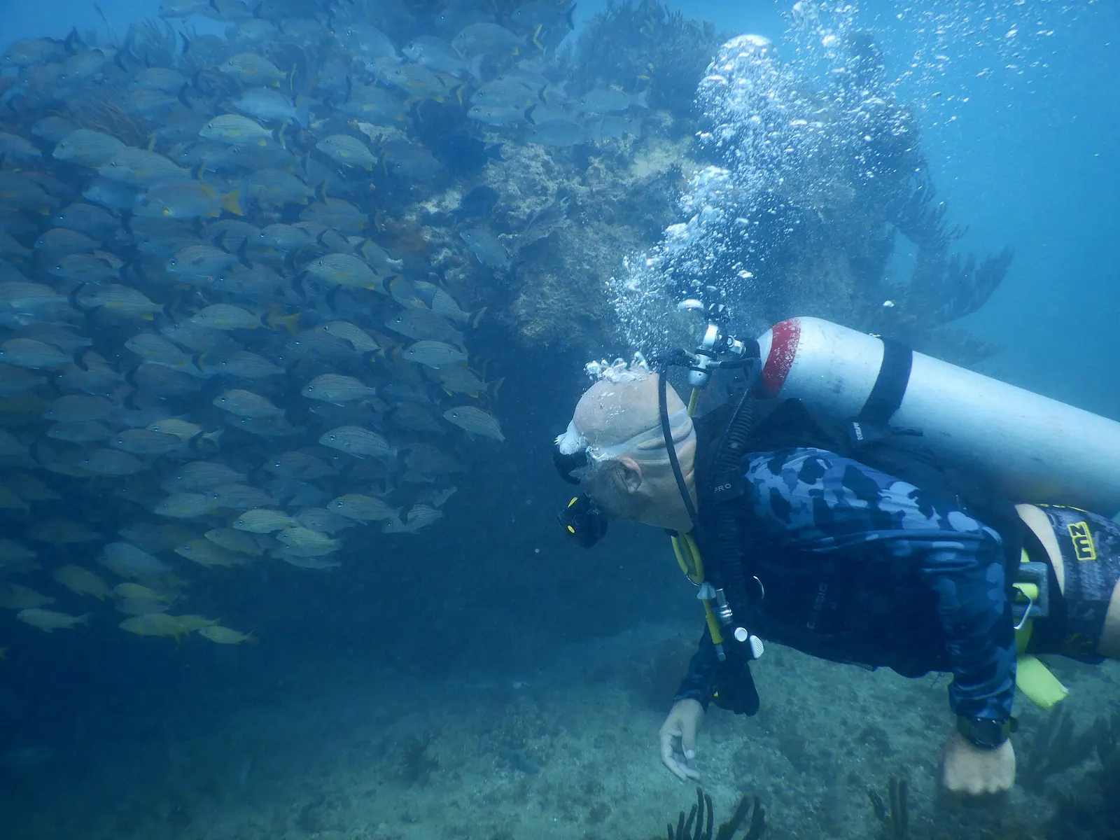 A diver exploring a reef in the waters off Puerto Morelos, Quintana Roo