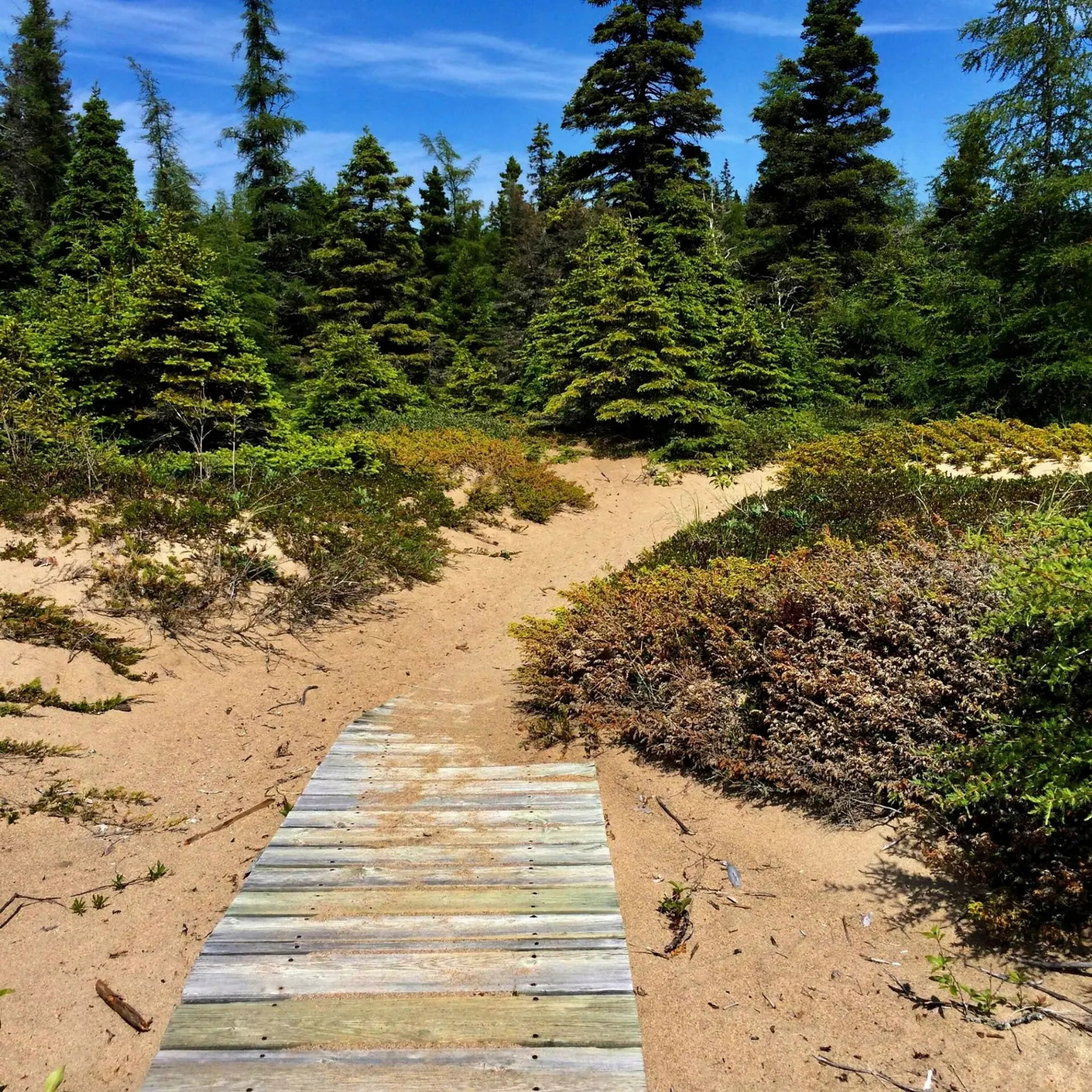 Hikers on the Coastal Hiking Trail along Lake Superior in Pukaskwa, Pukaskwa National Park, Ontario