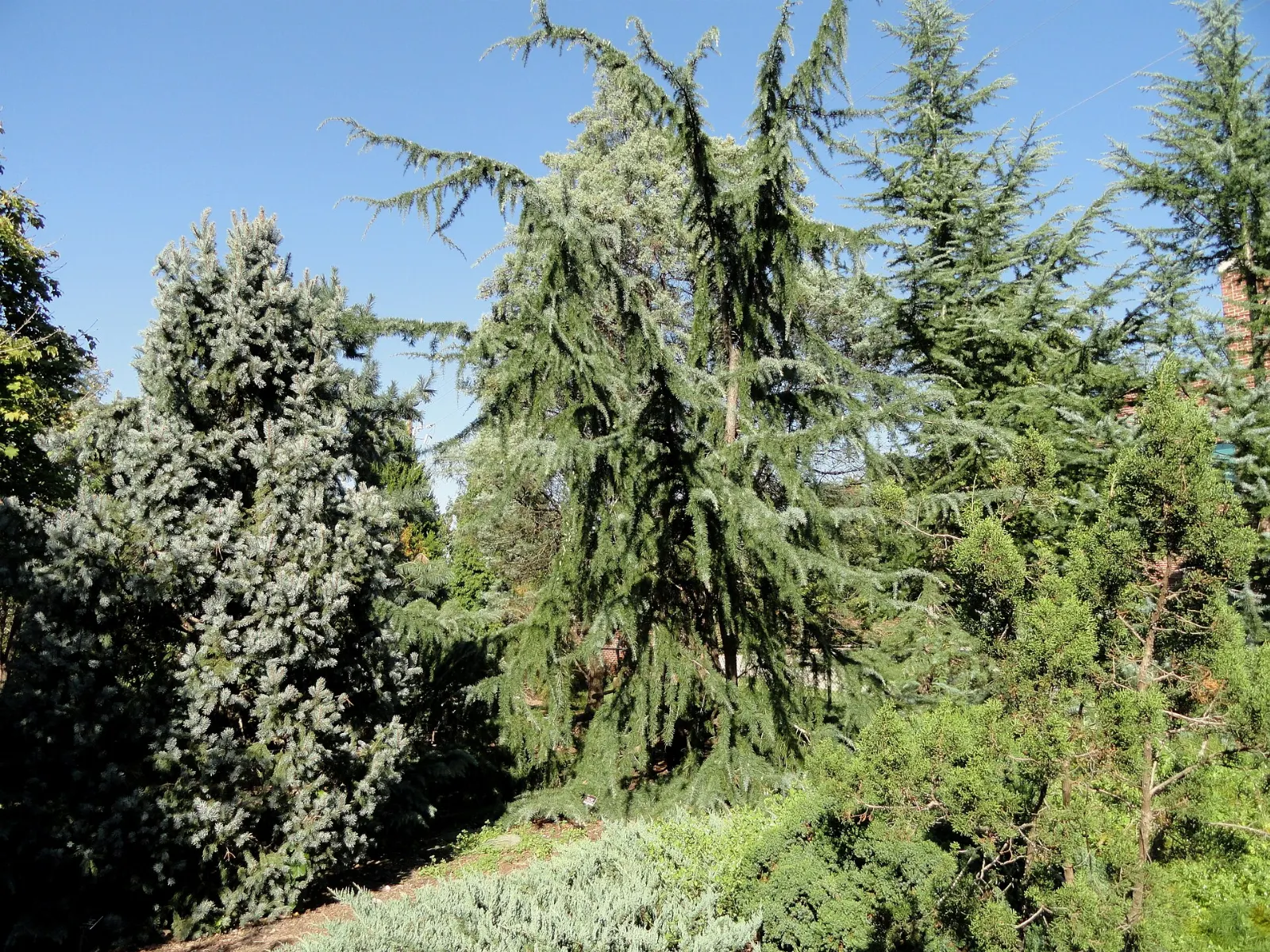 JC Raulston Arboretum, Raleigh, North Carolina, United States