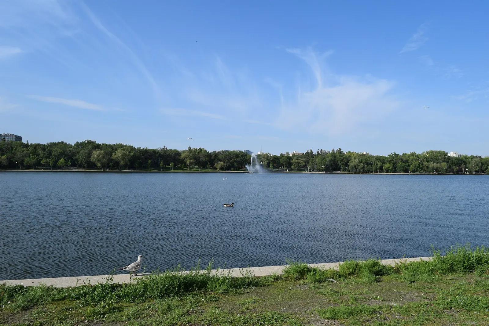 Walking path and water at Wascana Lake in Regina, Saskatchewan