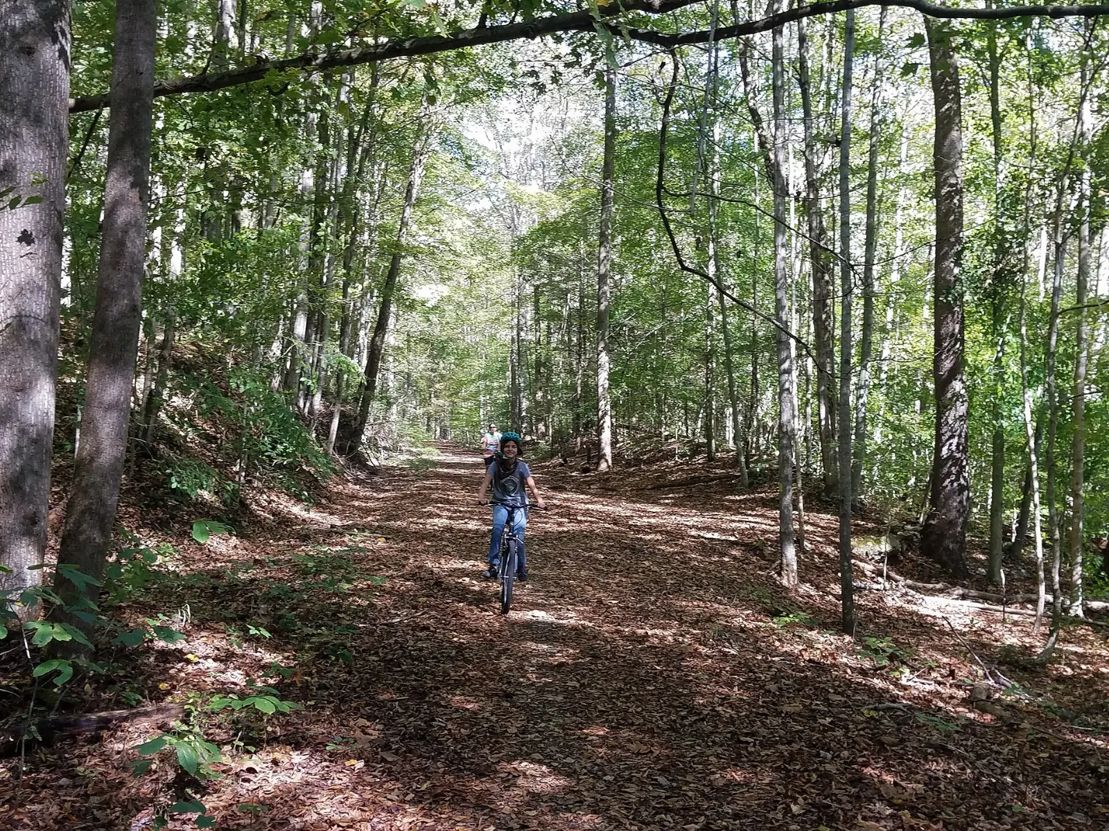 A forest trail in Riding Mountain National Park, Manitoba