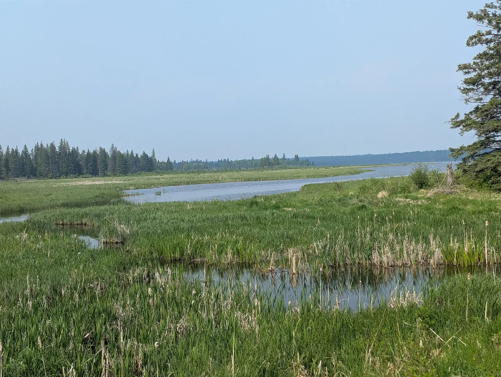 A quiet backcountry lake in Riding Mountain National Park, Manitoba