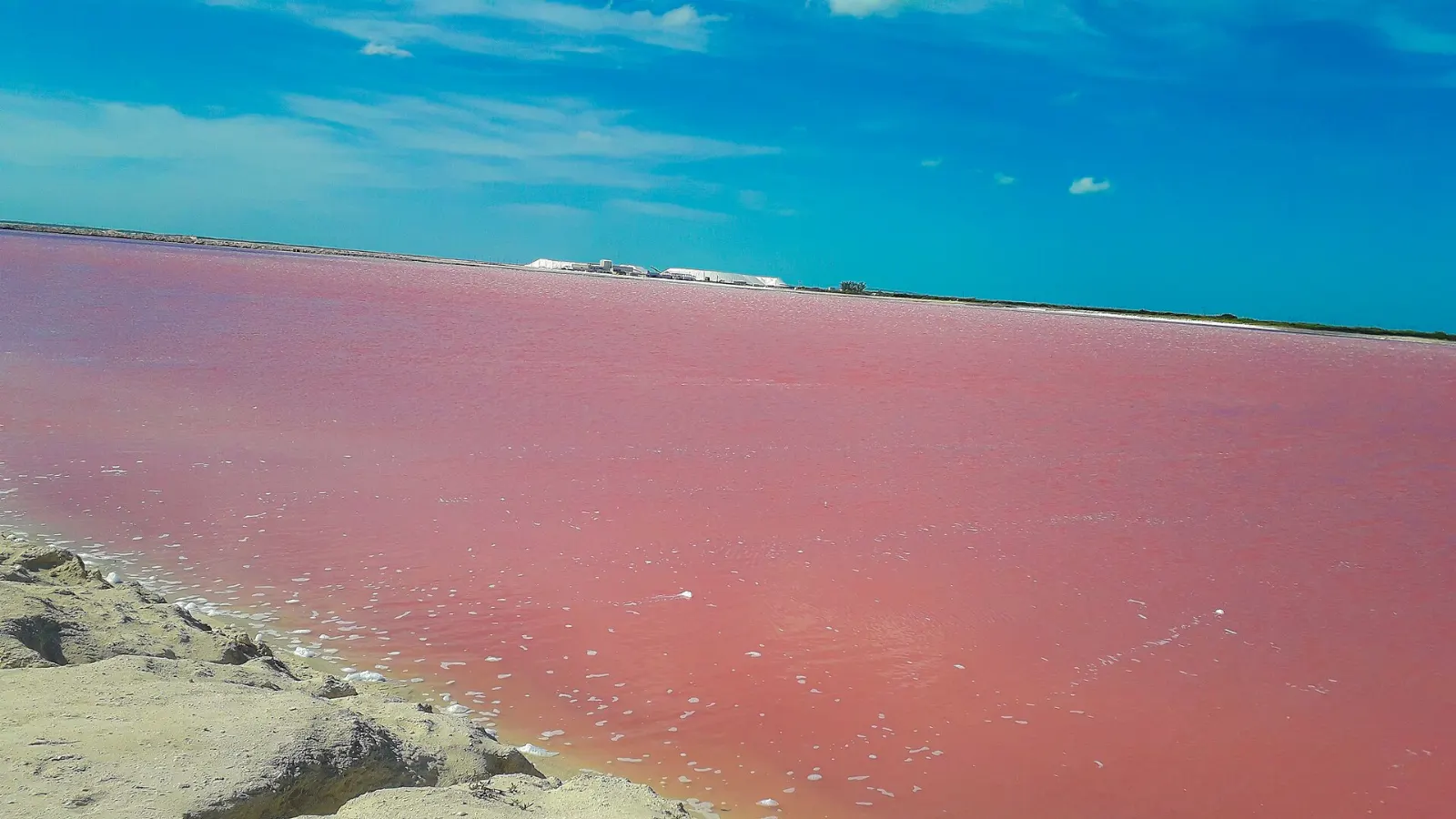 Bright pink salt pools at Las Coloradas near Río Lagartos, Yucatán