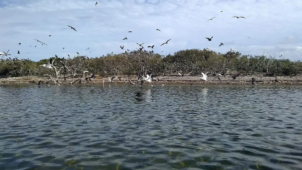 San Felipe, Río Lagartos, Yucatán