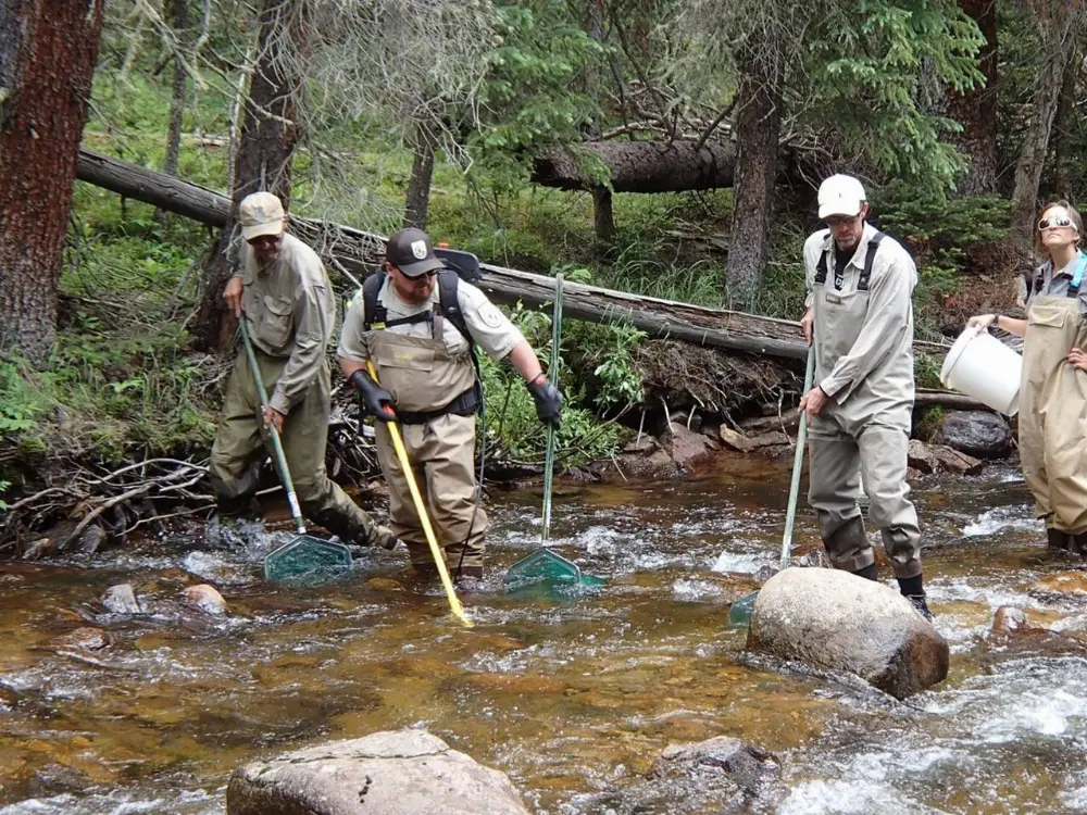 Trout in Rocky Mountain National Park, Colorado