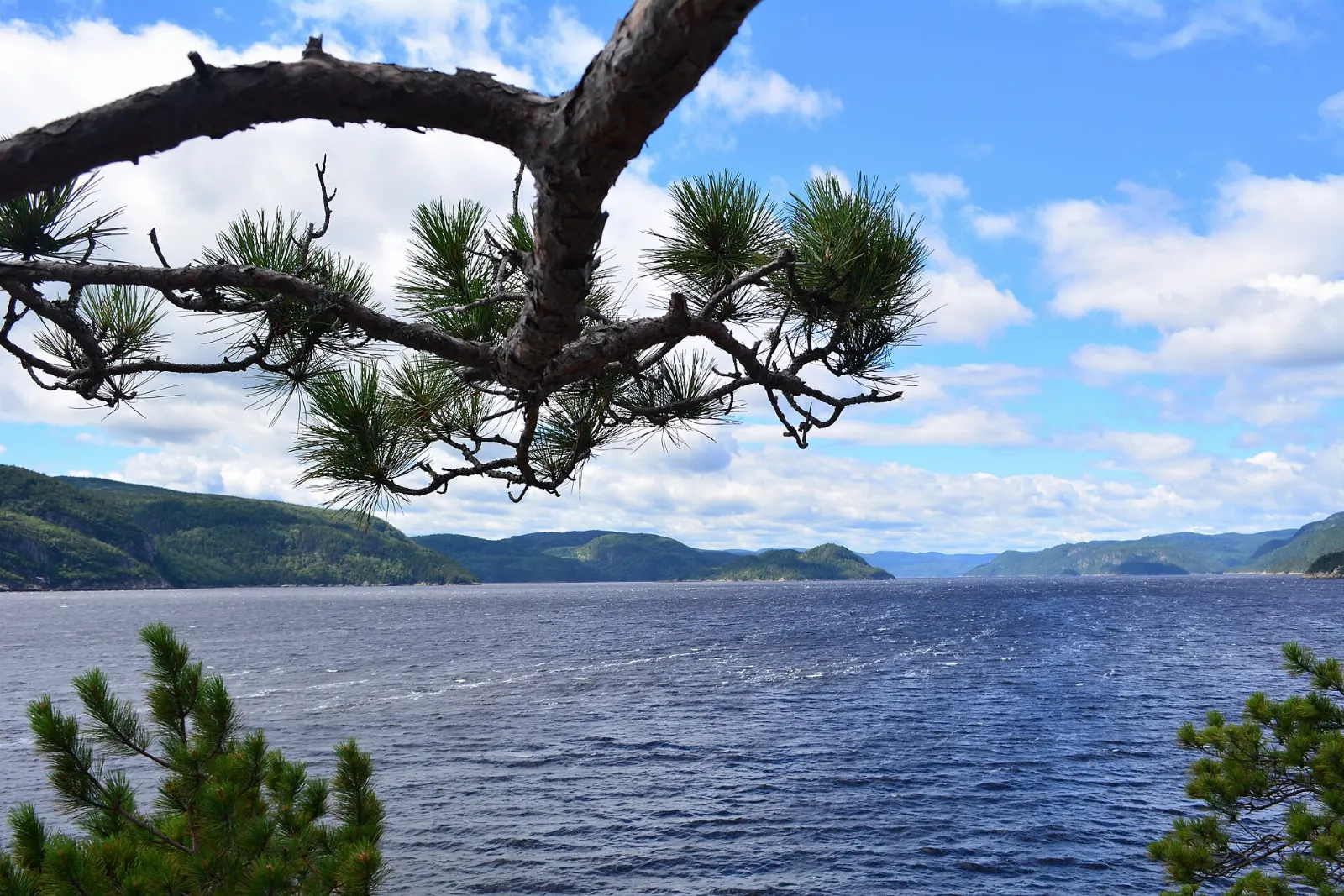Saguenay Fjord Quebec Belugas Fjord Cliffs and Blueberries