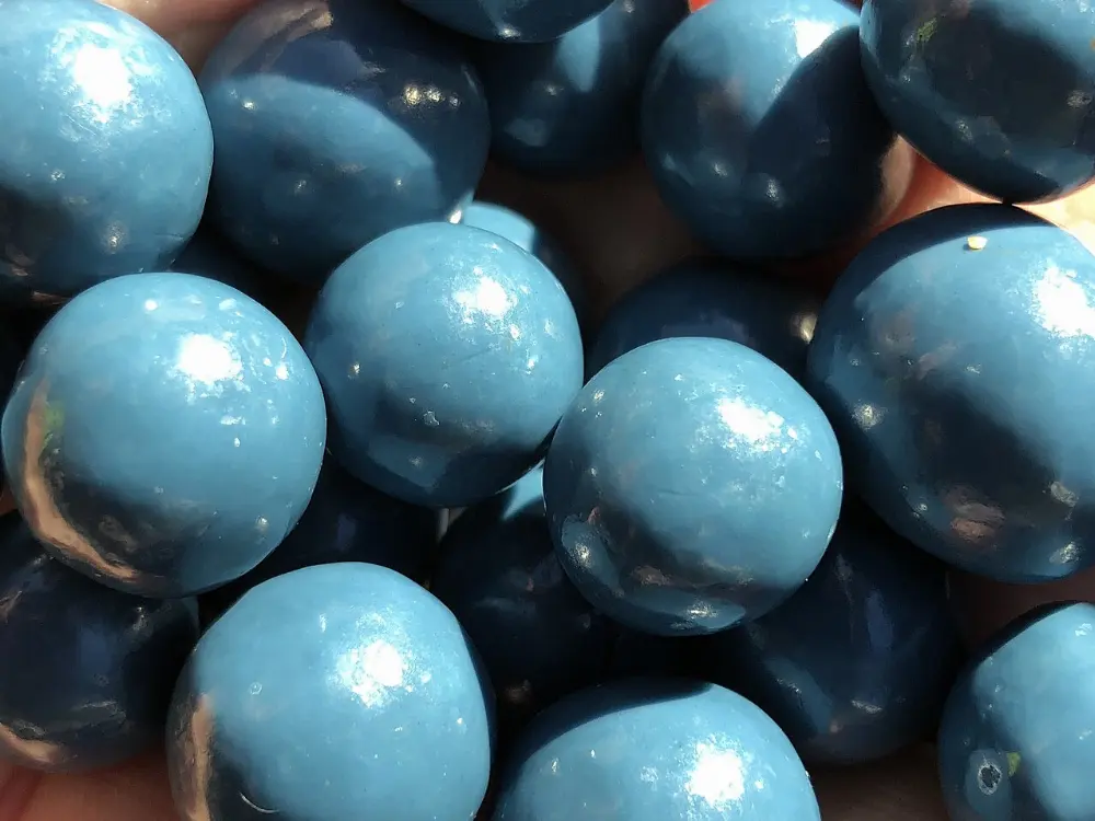 Chocolate-covered blueberries in Saguenay Fjord, Quebec