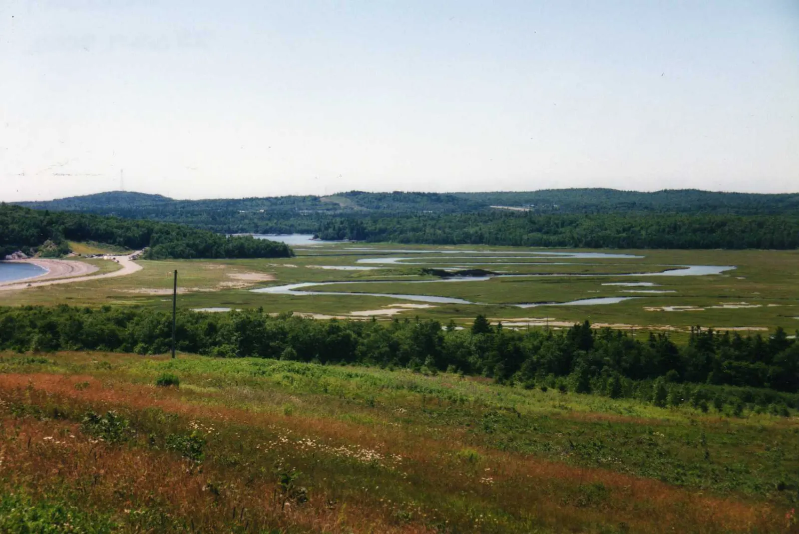 Irving Nature Park, Saint John, New Brunswick, Canada