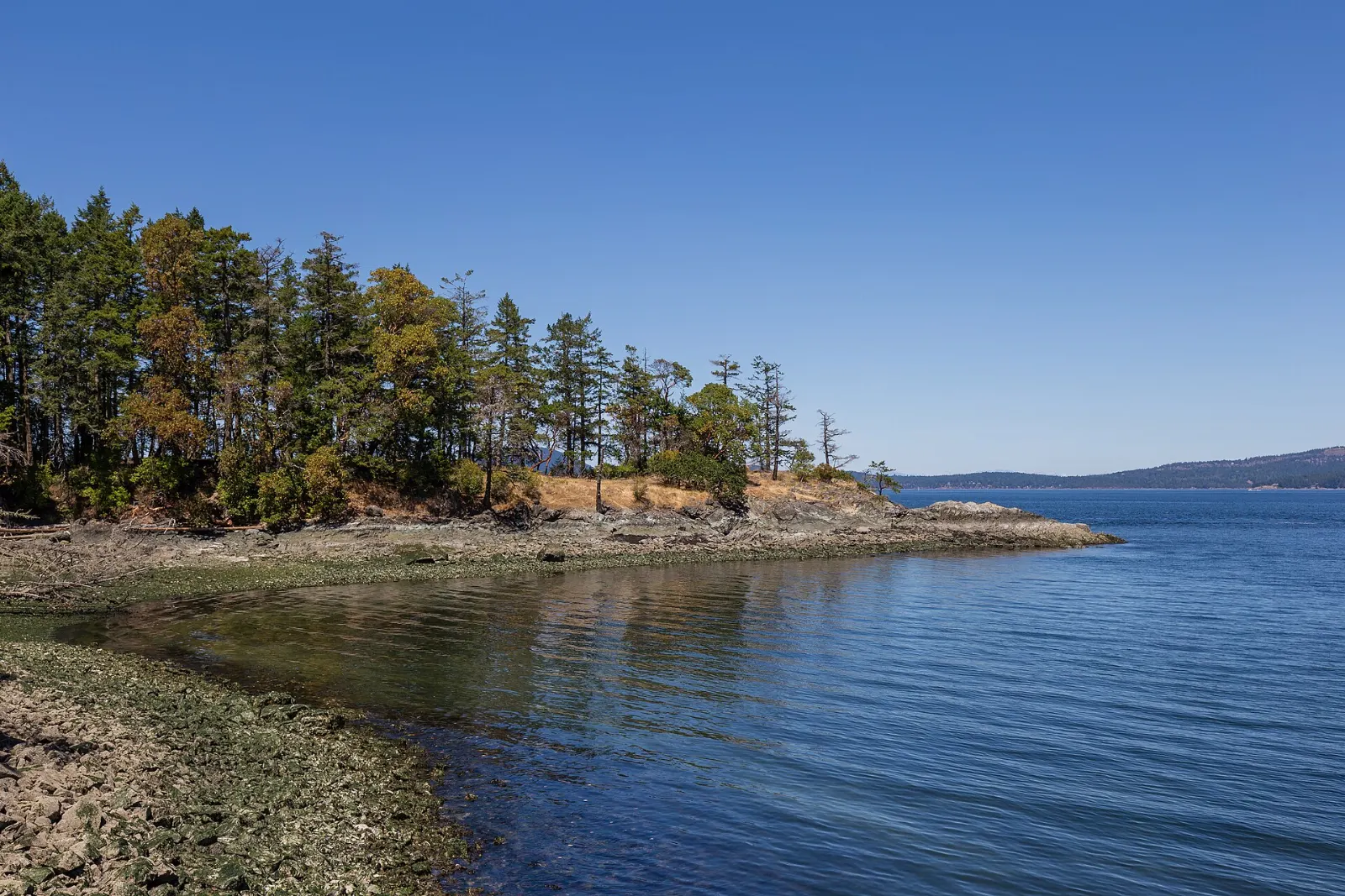 Rocky shoreline at Ruckle Provincial Park on Salt Spring Island, British Columbia