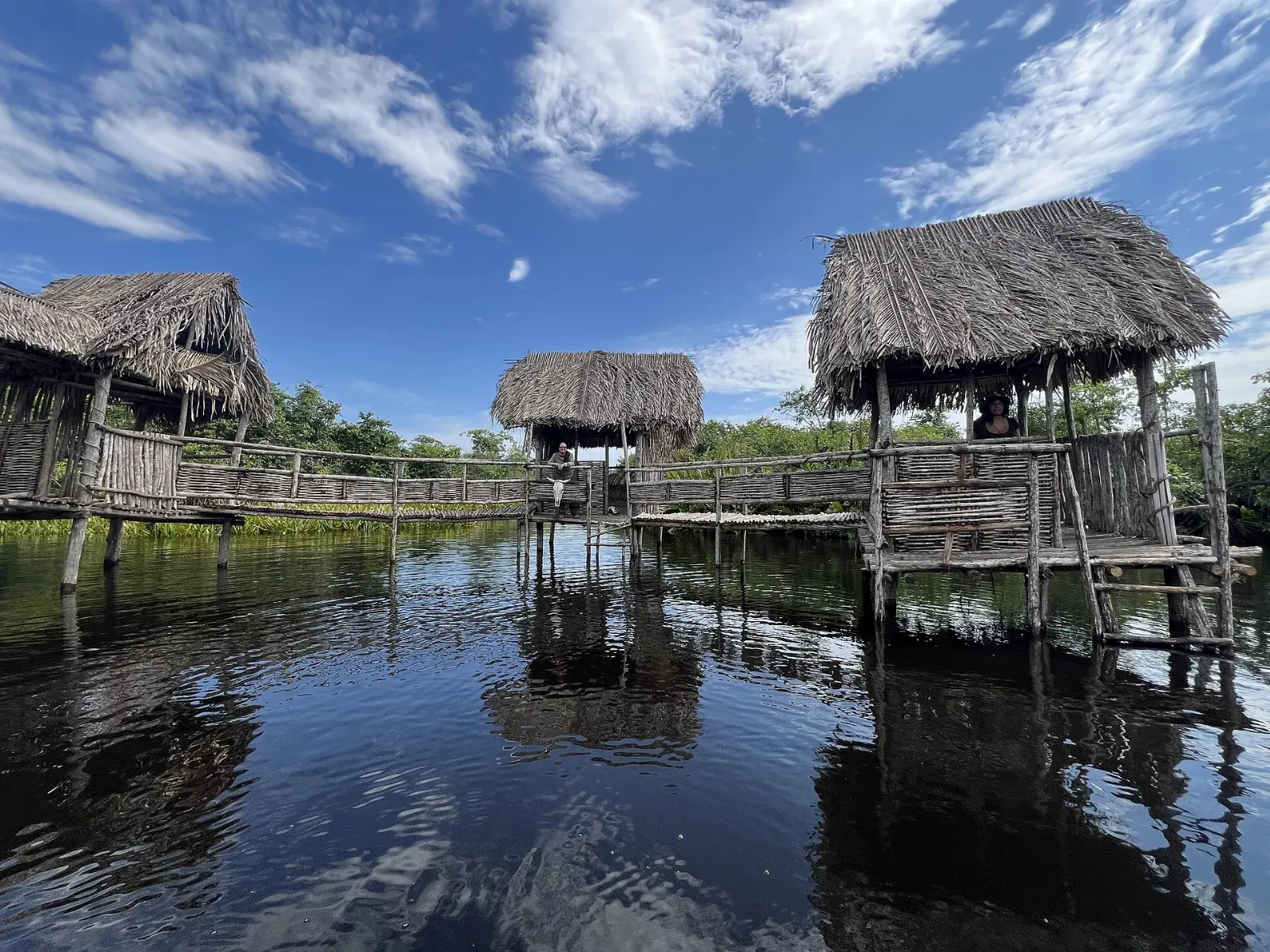 Boat moving through mangrove channels at La Tovara, San Blas, Nayarit