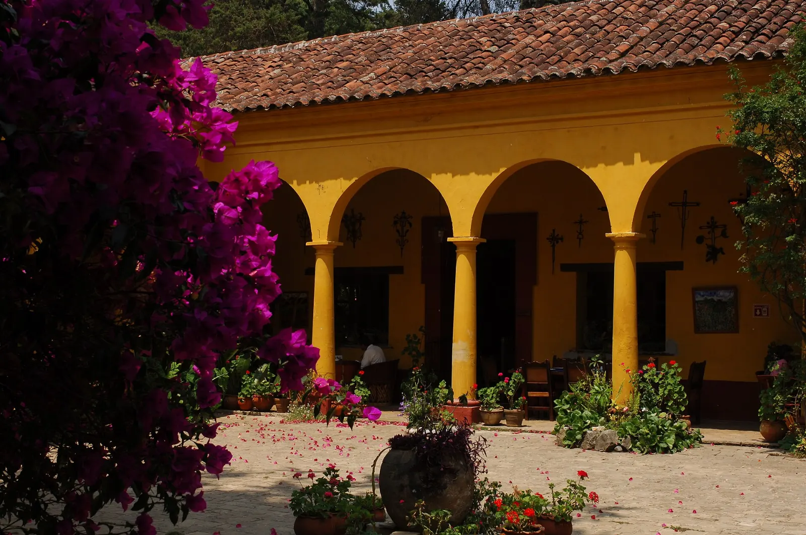 The courtyard of Na Bolom museum in San Cristóbal de las Casas, Chiapas
