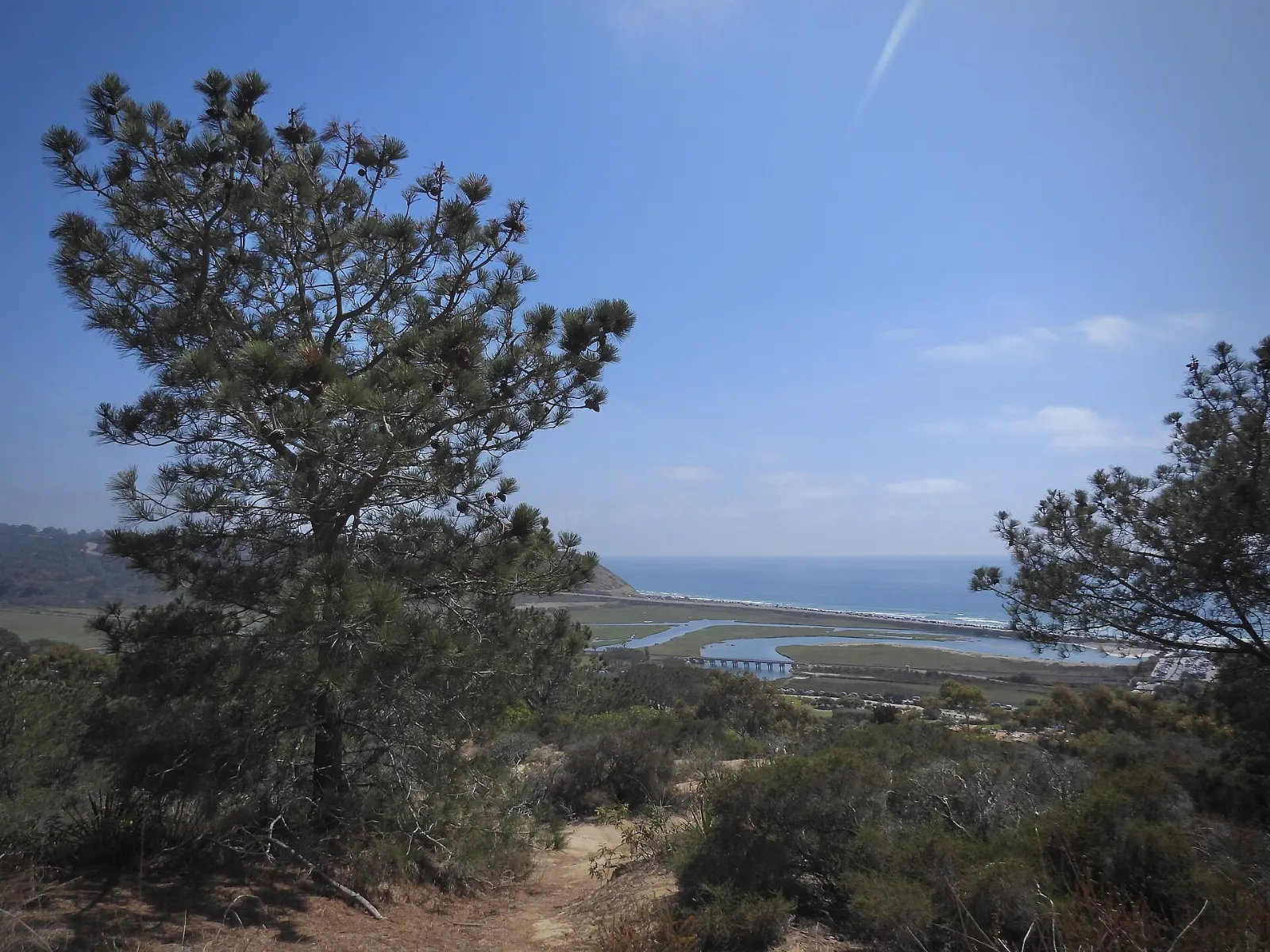 Torrey Pines State Natural Reserve, San Diego, California, United States