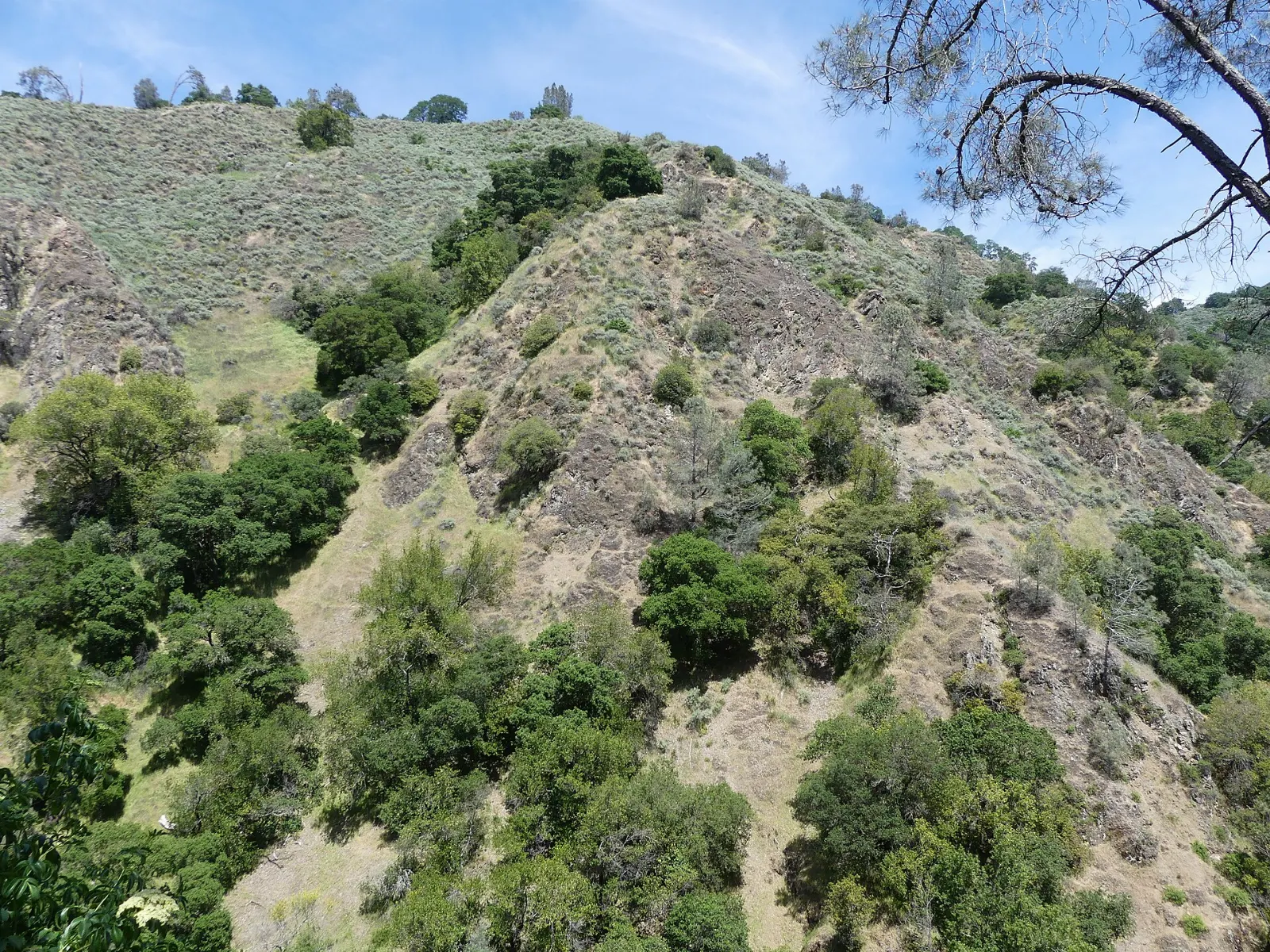 Alum Rock Park, San Jose, California, United States