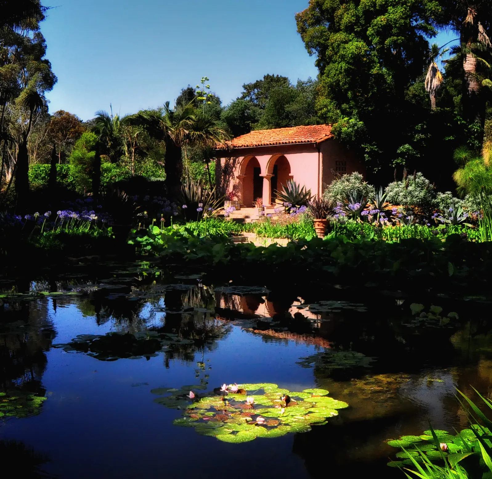 Unusual cactus and succulent plantings at Lotusland in Montecito, Santa Barbara, California