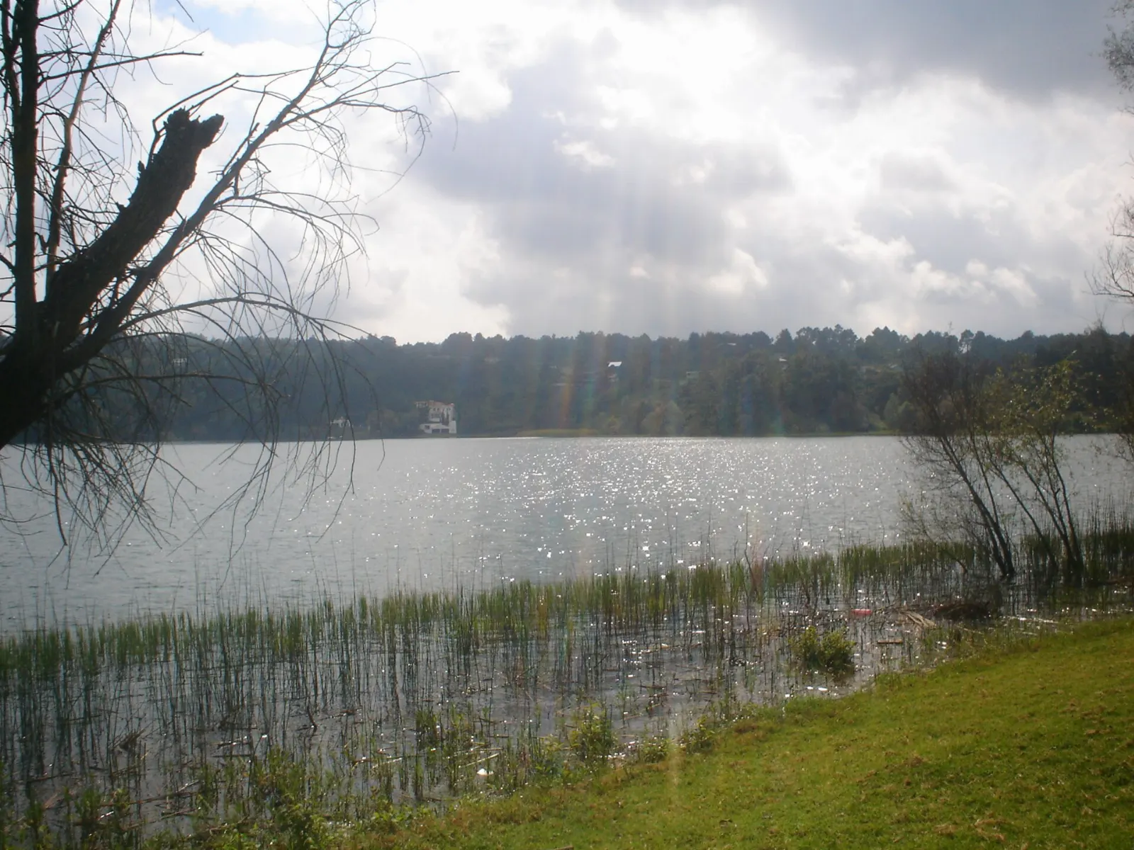 Deep blue Lake Zirahuén surrounded by pine forest, Santa Clara del Cobre, Michoacán