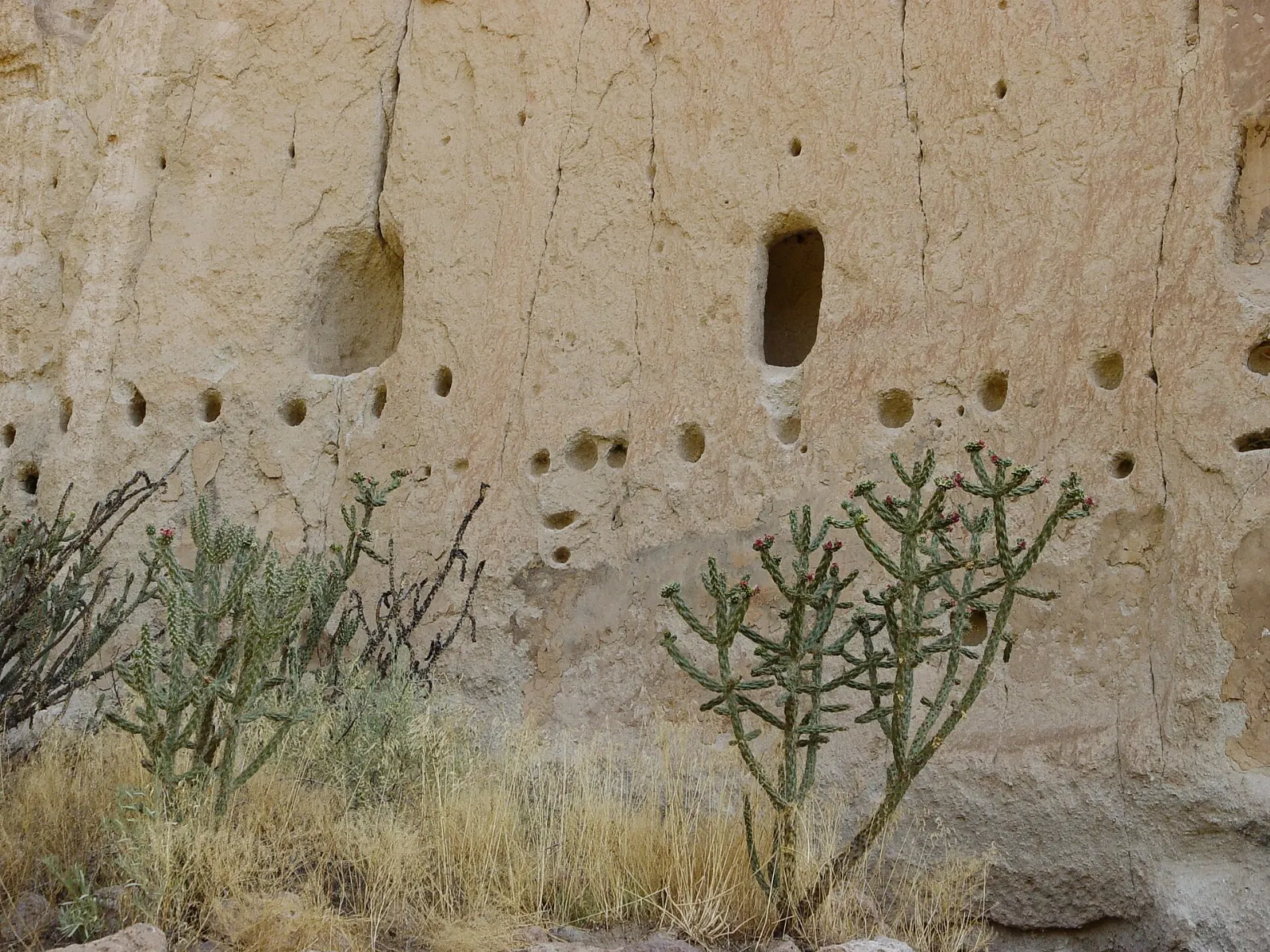 Cavates carved into the tuff cliffs above Frijoles Canyon at Bandelier National Monument, Santa Fe, New Mexico