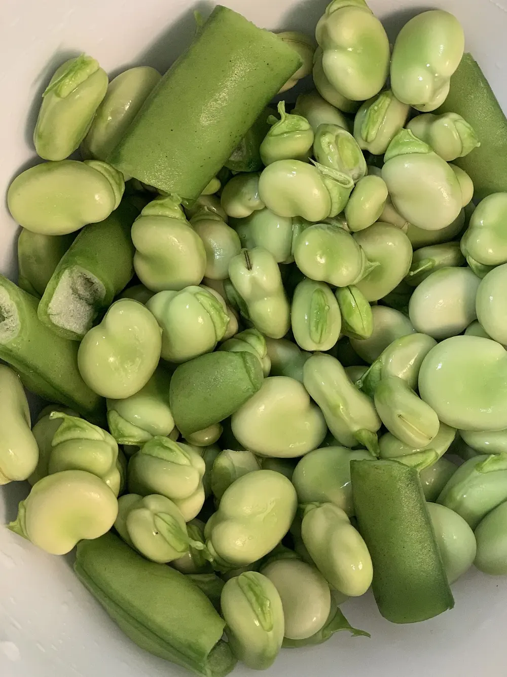 Fava in Santorini, Greece