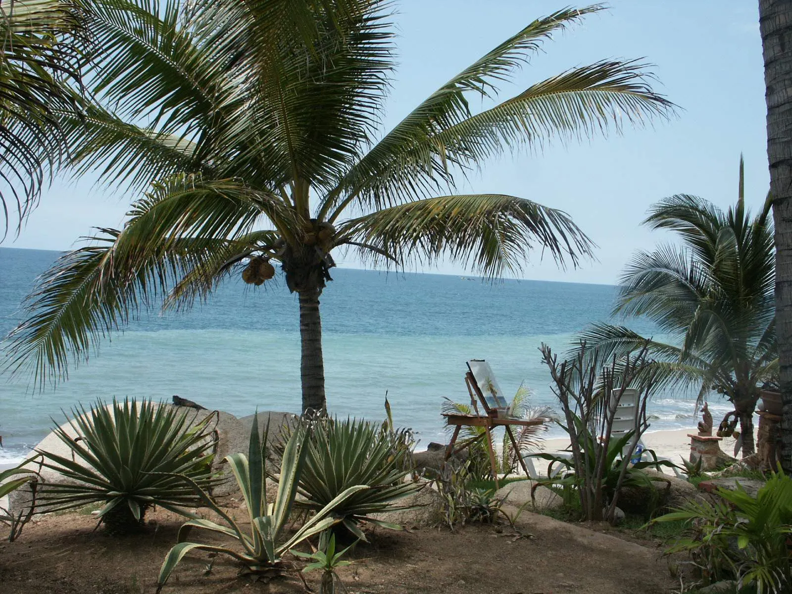 Sayulita Mexico Surf Lessons Jungle Trails and Beaches