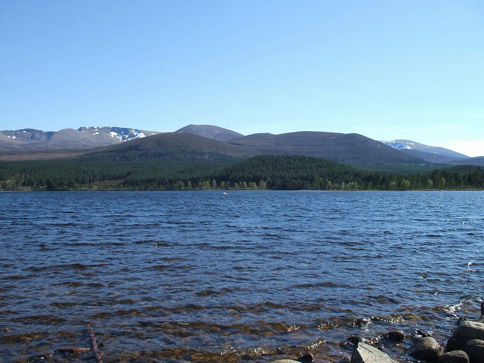 Cairngorms National Park, Scottish Highlands, Scotland