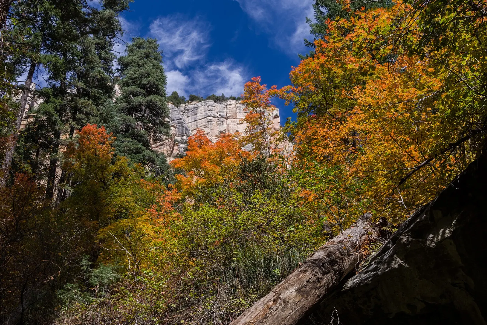 West Fork Trail, Sedona, Arizona, United States