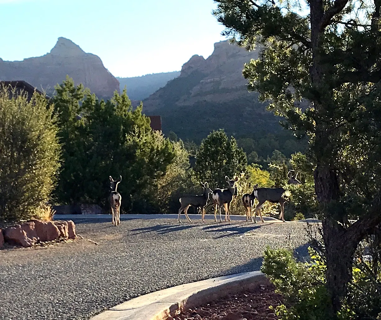 Uptown Sedona, Sedona, Arizona, United States