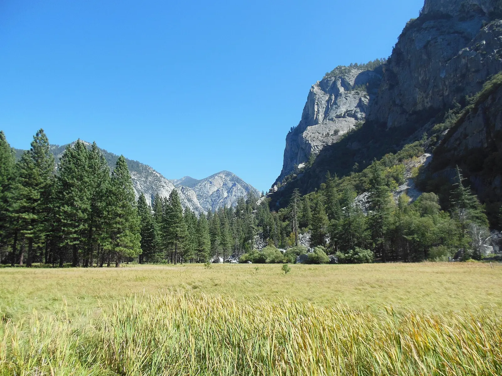 Zumwalt Meadow framed by granite walls in Kings Canyon, Sequoia and Kings Canyon National Parks, California