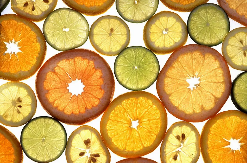 Citrus in Sequoia and Kings Canyon National Parks, California