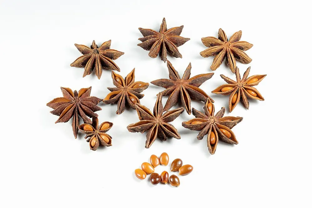 Dried fruit in Sequoia and Kings Canyon National Parks, California