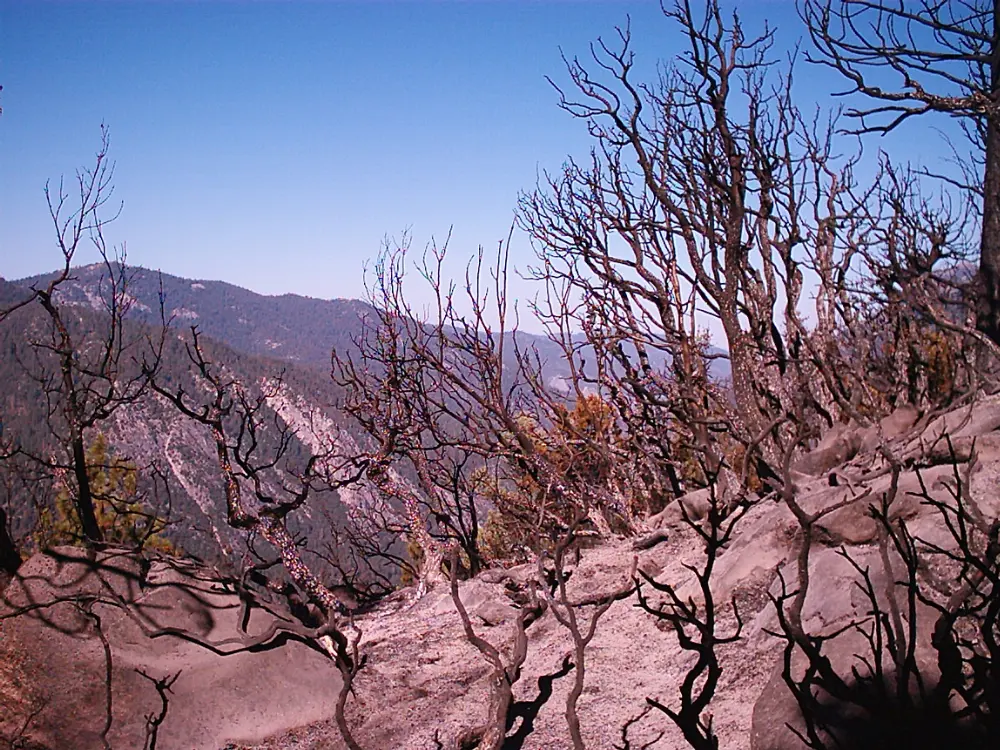 Cedar Grove, Sequoia and Kings Canyon National Parks, California