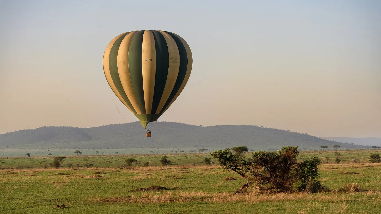 Hot air balloon drifting over the Serengeti at sunrise, Serengeti National Park, Tanzania