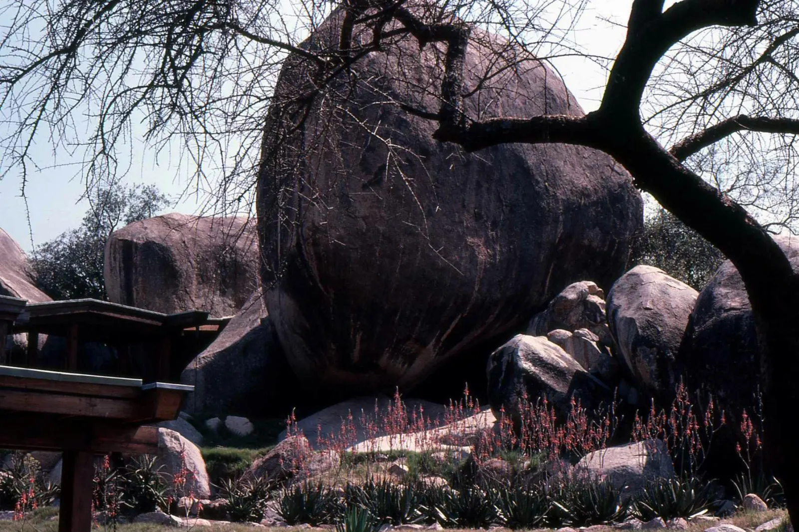 Granite boulders rising from the grassland at Moru Kopjes, Serengeti National Park, Tanzania