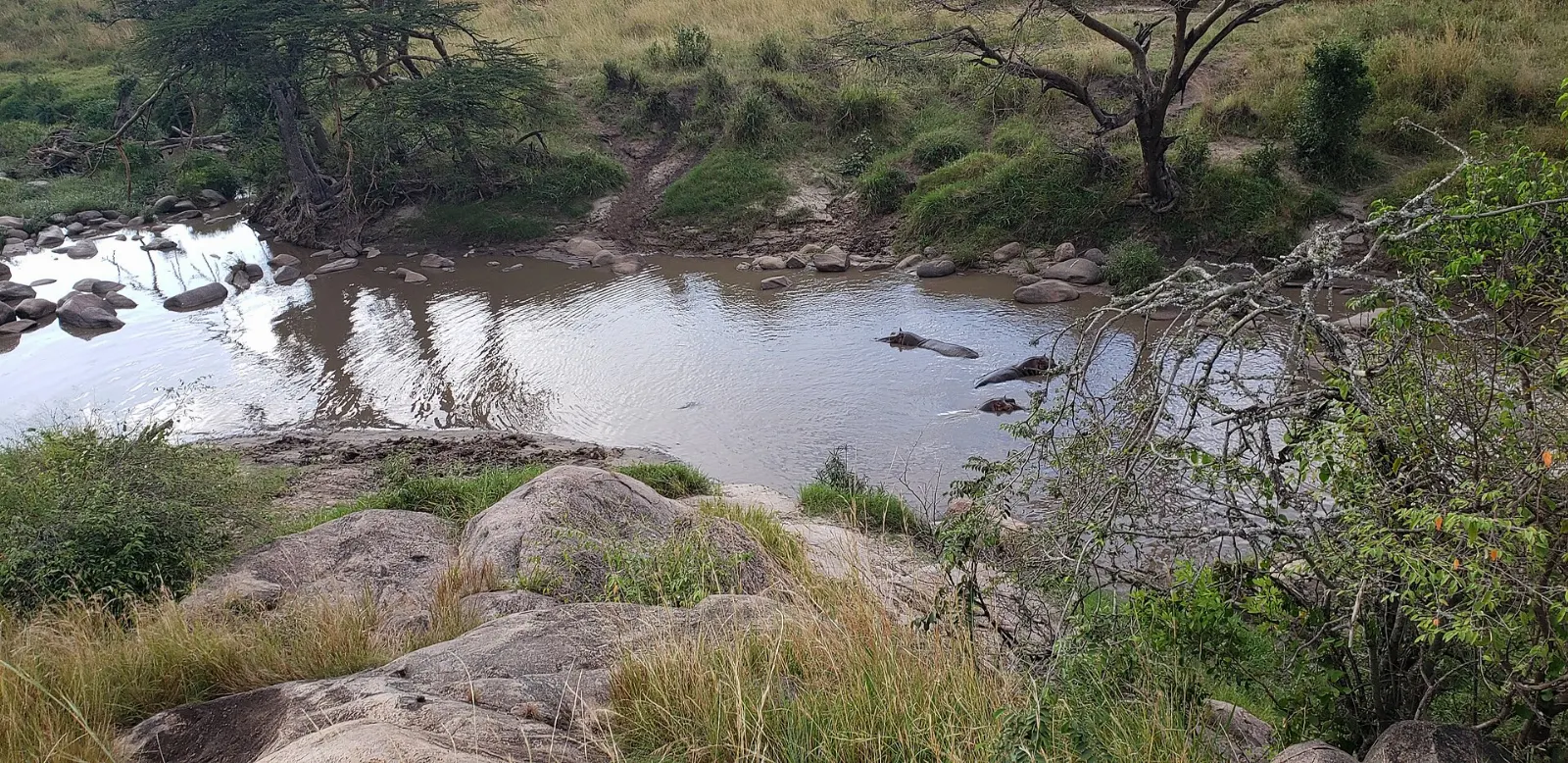Grumeti River flowing through woodland in the Western Corridor, Serengeti National Park, Tanzania