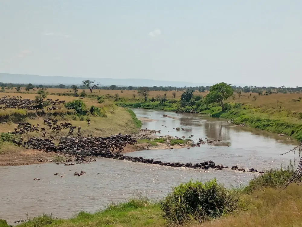 Kogatende, Serengeti National Park, Tanzania