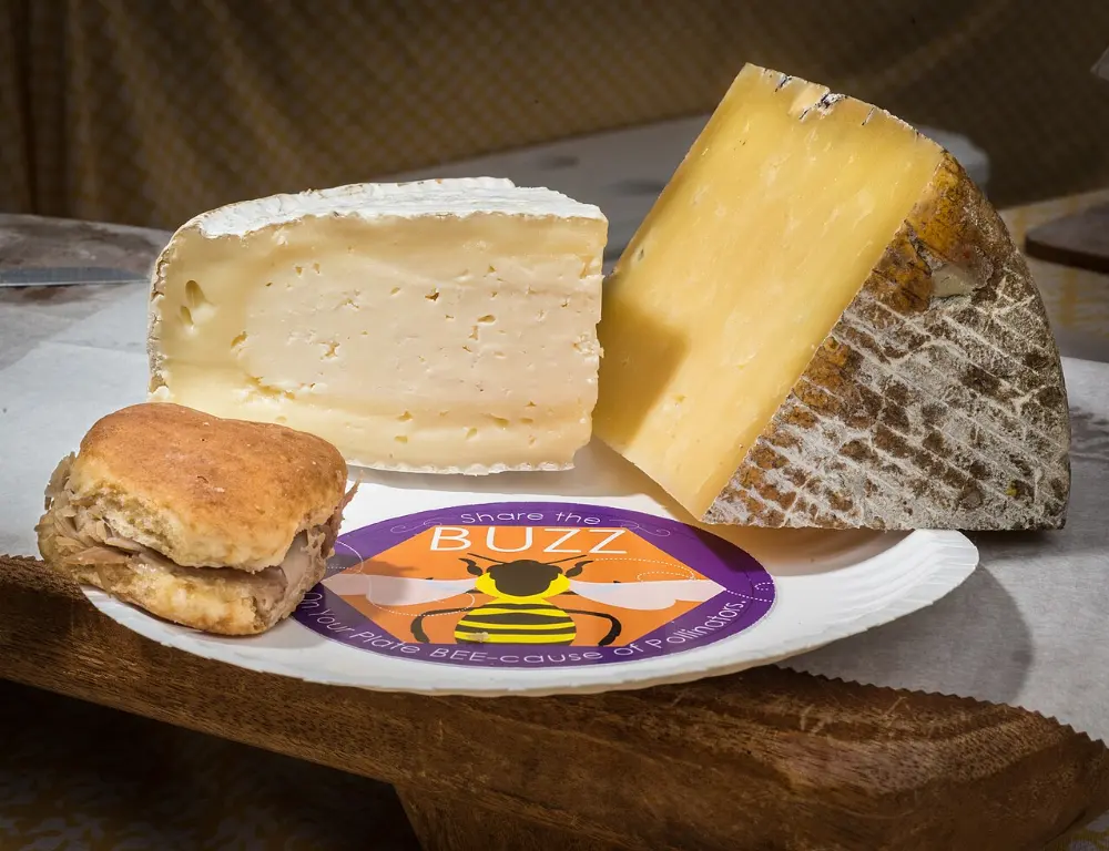 Country ham biscuits in Shenandoah National Park, Virginia