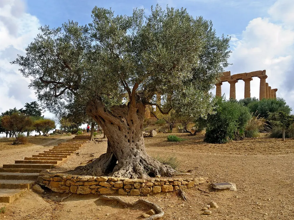 Valley of the Temples, Sicily, Italy