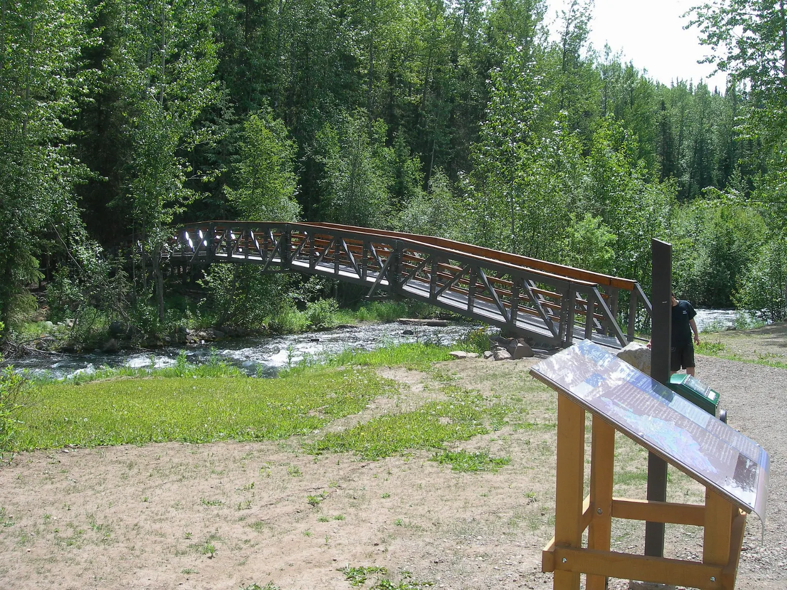 Shale cliff at Driftwood Canyon Provincial Park, Smithers, British Columbia