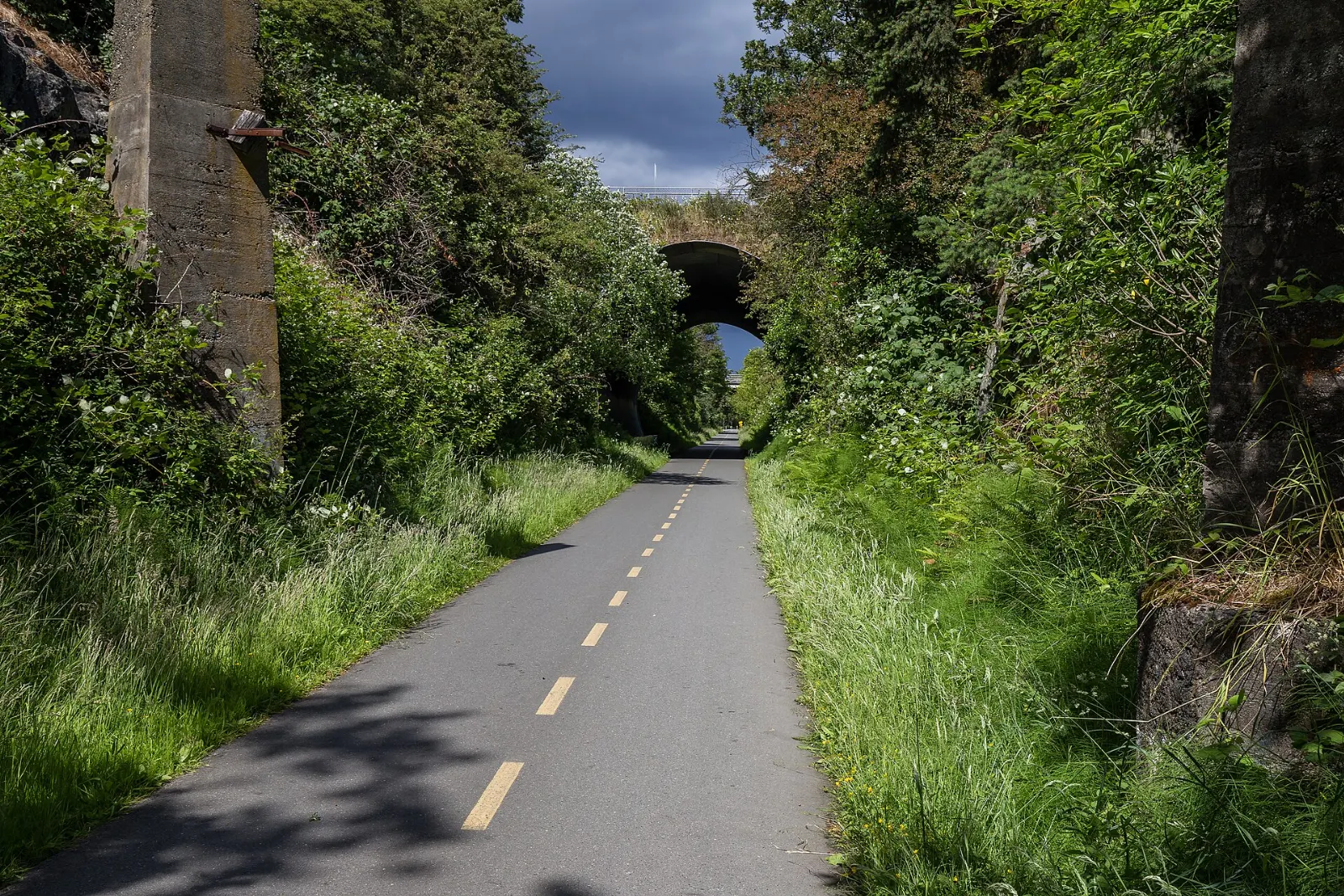 A walking and cycling trail through forest on the Galloping Goose route, Sooke, British Columbia