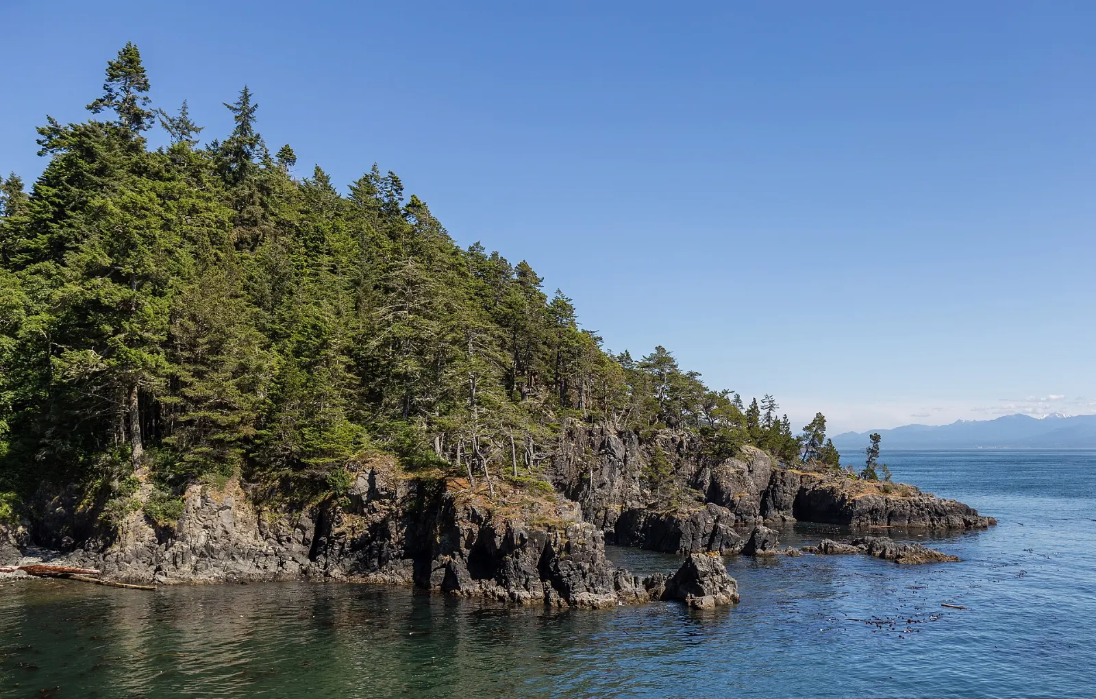 Rocky coastline and forest in East Sooke Regional Park, British Columbia